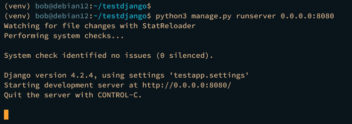 django projekt laufen lassen