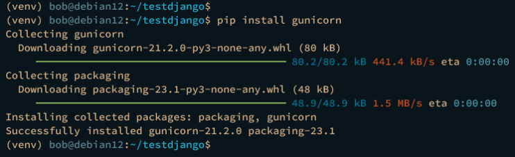 gunicorn installieren