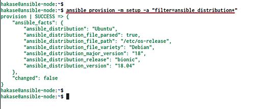 Nur auf einem bereitgestellten Server ausführen