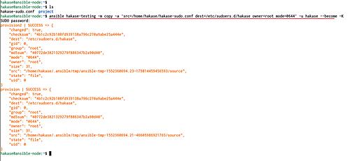 Datei auf den Host hochladen