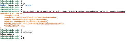 Datei vom Host herunterladen