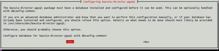 Bacula directorore Postgres