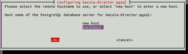 PostgreSQL-Datenbank-Host