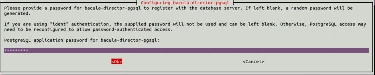 PostgreSQL-Kennwort