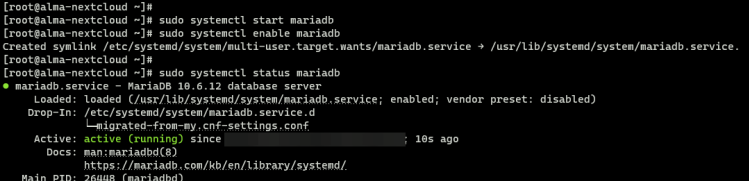 Starten und Überprüfen des Mariadb-Dienstes