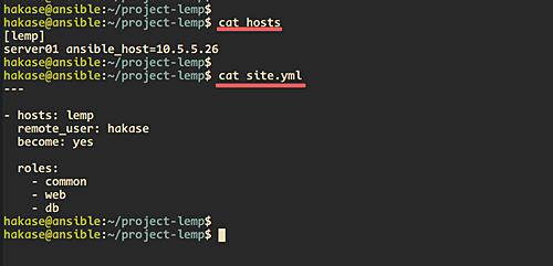 Einrichten von Hosts und site.yml