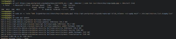 Repo postgresql hinzufügen