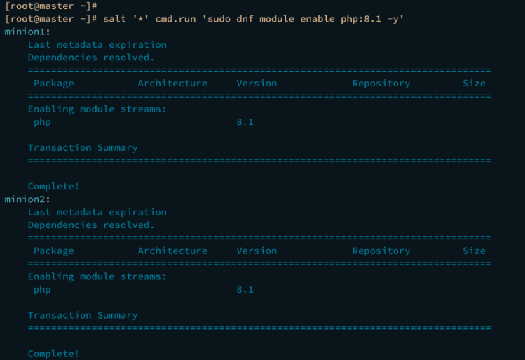 Repo-Modul über Salt aktivieren