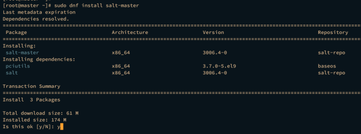 salt-master installieren