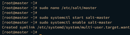 start enable salt-master