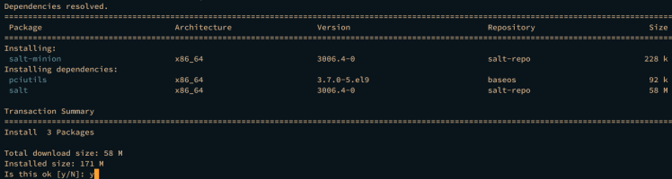 Salz-Minion installieren