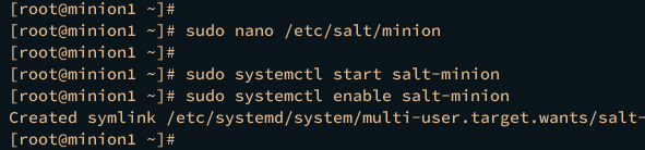 start enable salt-minion