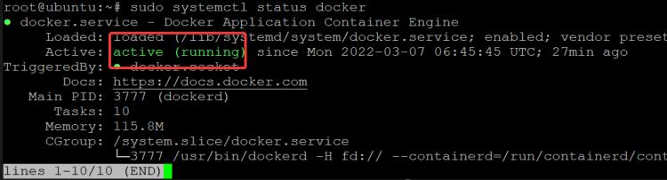 stelle sicher, dass Docker läuft.