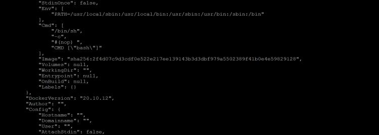 Inspektion von Docker Images