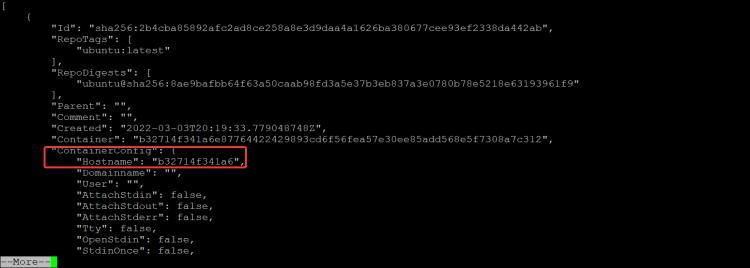 Befehl docker inspect