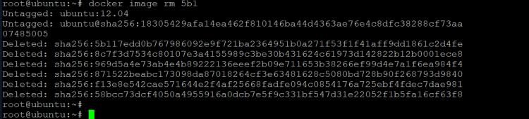 Entferne das ubuntu:12.04 Image