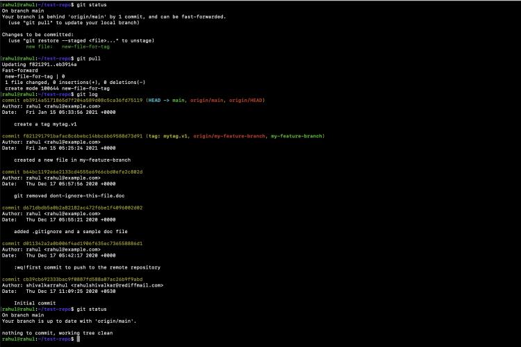 Ziehen Sie das Neueste aus dem Zweig
