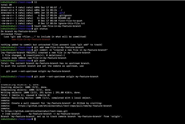 Schieben Sie eine Übertragung in den neuen Zweig