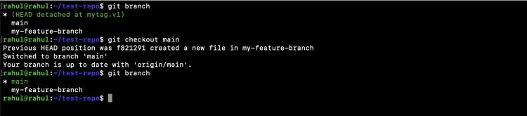 Schalten Sie den Hauptzweig zurück