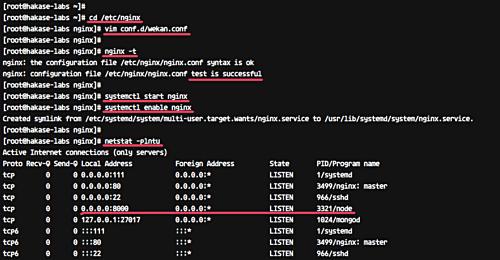 Nginx als Reverse-Proxy