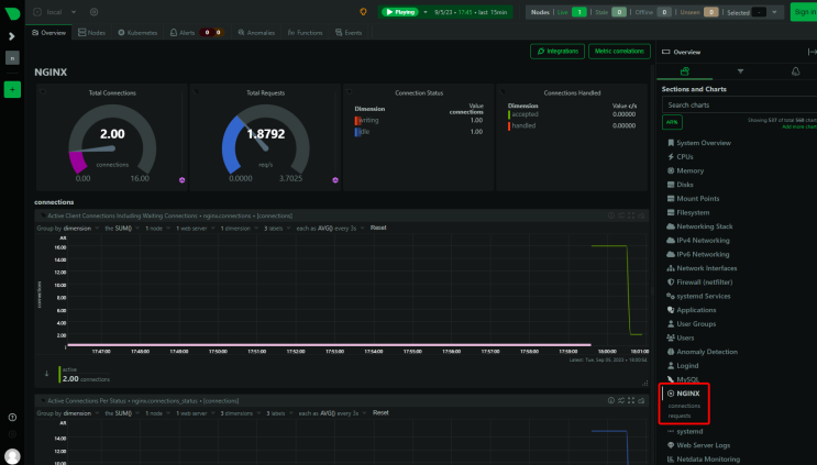 Netdata Nginx Verbindungsdetails