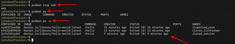 Container podman anhalten