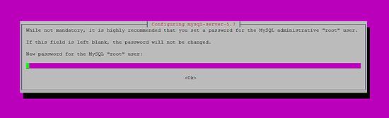 Geben Sie das MySQL-Passwort ein.