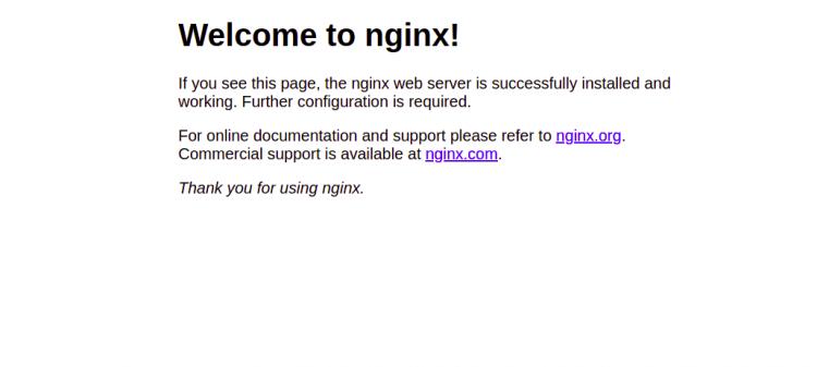 Nginx Willkommensseite