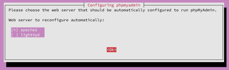 apache2 als Webserver auswählen