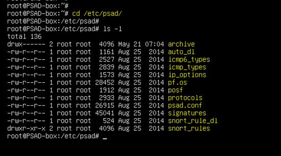 das PSAD-Konfigurationsverzeichnis.