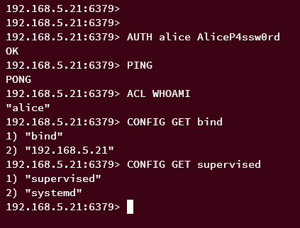 Testbenutzer alice