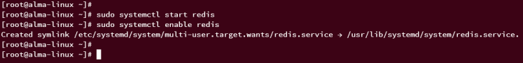 start enable redis