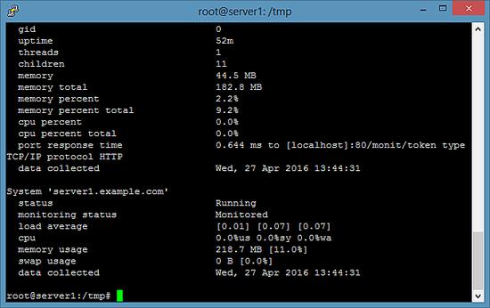 Überprüfen Sie den Monit-Status auf der Kommandozeile.