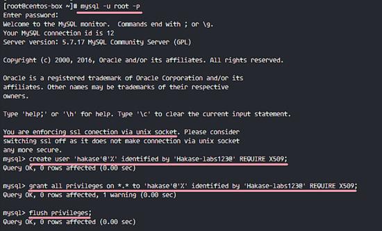 Neuen Benutzer für Remote-Verbindung MySQL anlegen