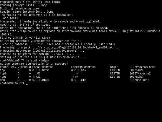 Überprüfen Sie die Apache-Installation mit dem Befehl netstat.