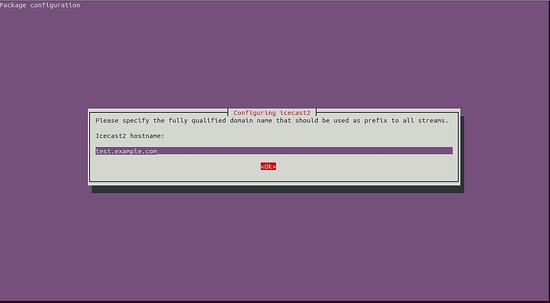 Icecast konfigurieren