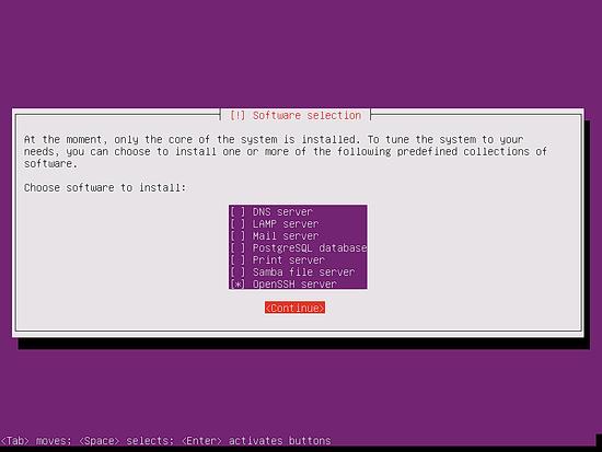 Wählen Sie die Basispakete für den Ubuntu-Server aus.