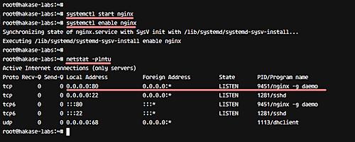 Starten Sie den nginx Webserver.
