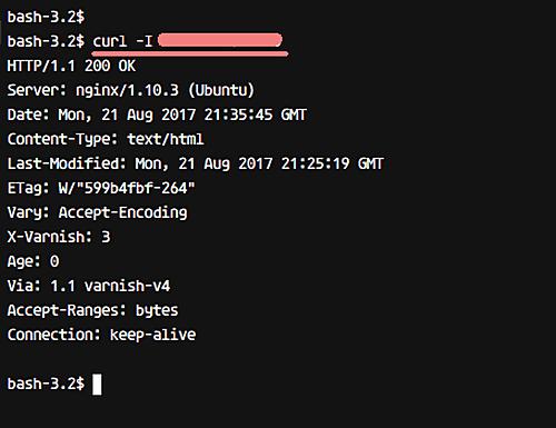 Testverbindung mit Curl