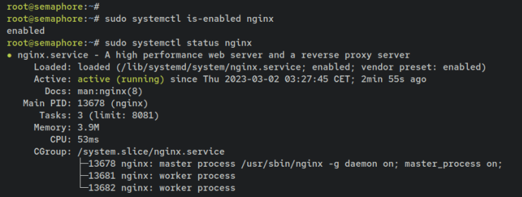 nginx verifizieren
