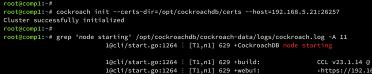 initialisierter Cluster