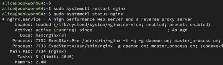 nginx prüfen