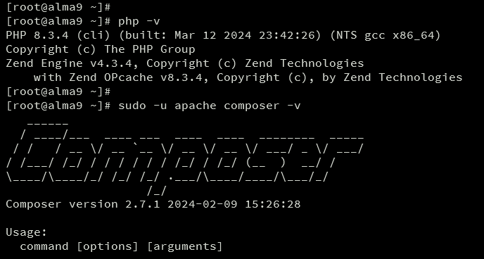php und Composer überprüfen
