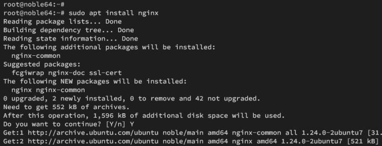 nginx installieren