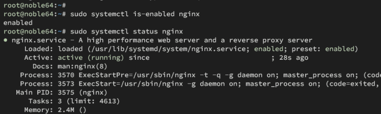 nginx Dienst prüfen