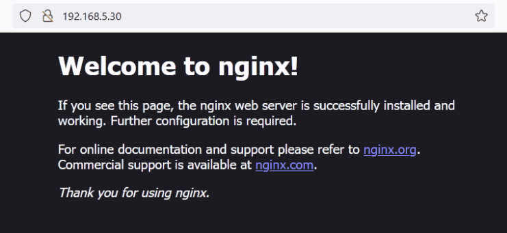 nginx index