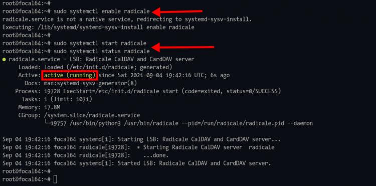 Starte und überprüfe den Status des Radicale-Dienstes