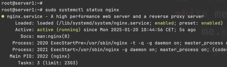 nginx prüfen