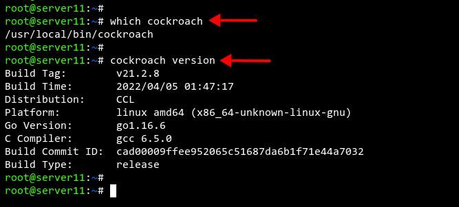 Kakerlakendb prüfen