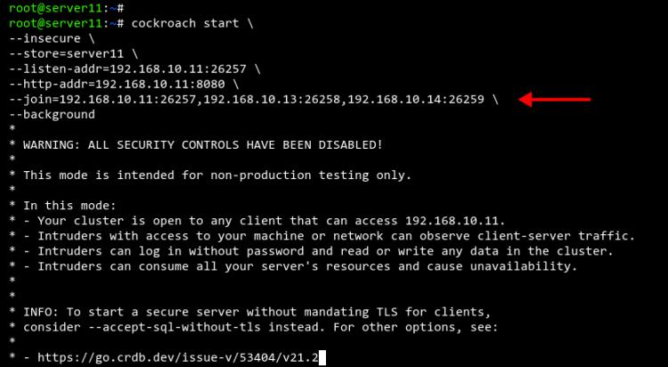 Cluster auf Server11 starten